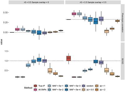 Improved Estimation of Phenotypic Correlations Using Summary Association Statistics